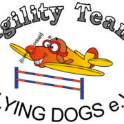 (c) Agility-flying-dogs.de
