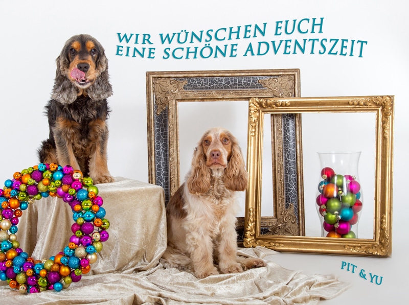 Weihnachts-Fotoshooting